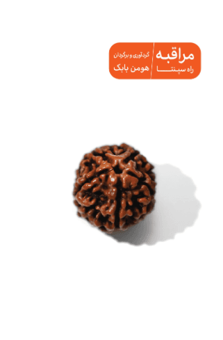 کتاب مراقبه راه سپنتا