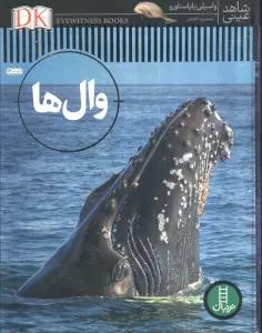 وال ها (شاهد عینی)،(گلاسه)