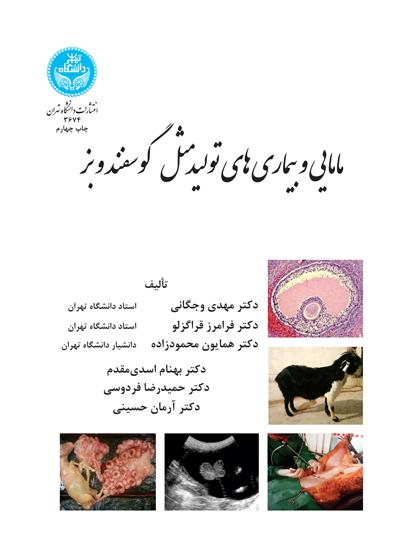 مامایی و بیماریهای تولیدمثل گوسفند و بز 3674