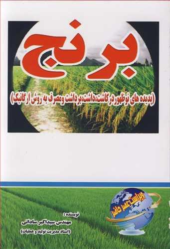 برنج