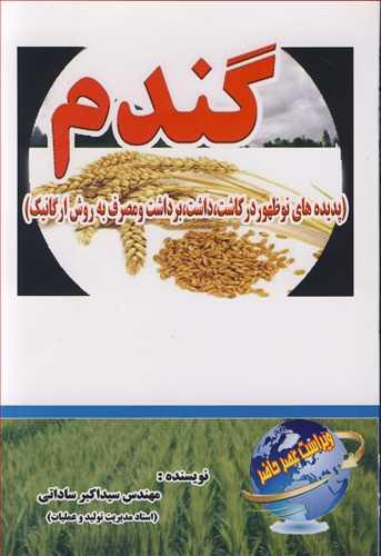 گندم