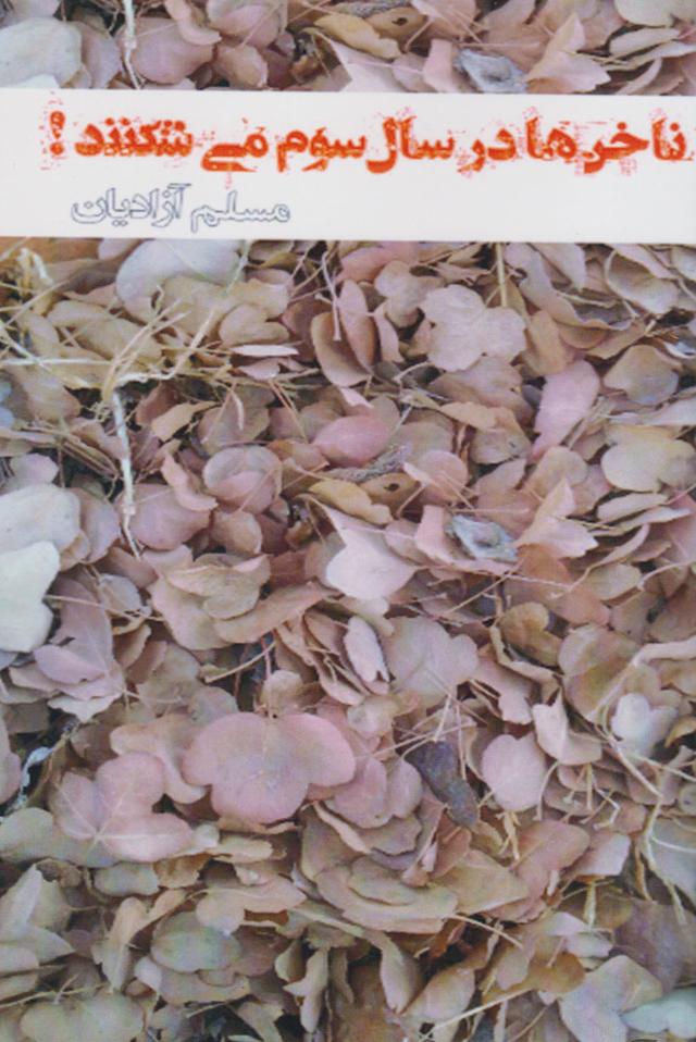 کتاب ناخن ها در سال سوم می شکنند!