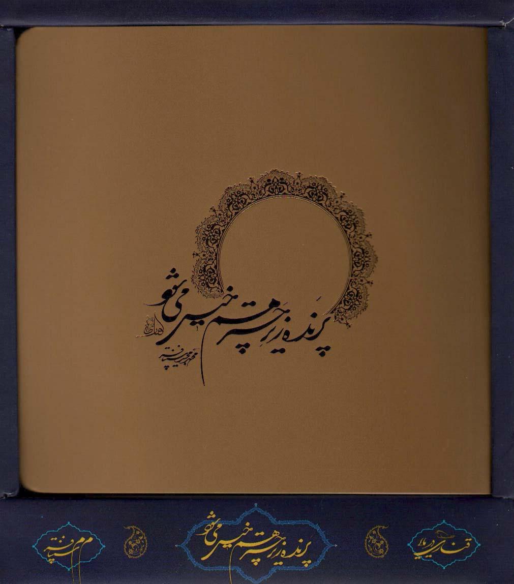کتاب پرنده زیر چتر هم خیس می شود (باجعبه)