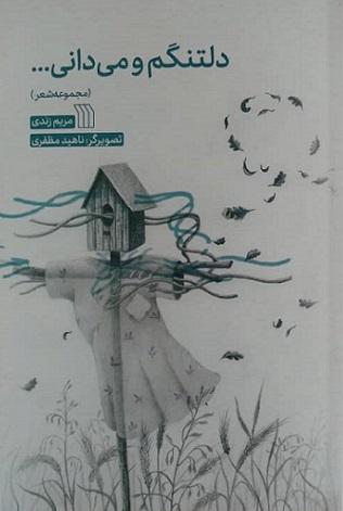 کتاب دلتنگم و می دانی...