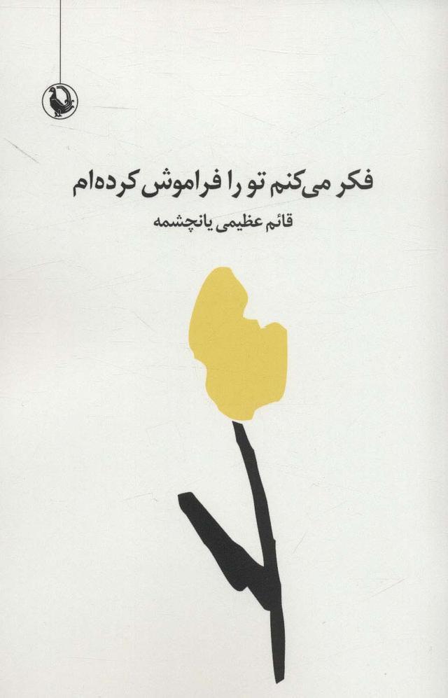 کتاب فکر می کنم تو را فراموش کرده ام
