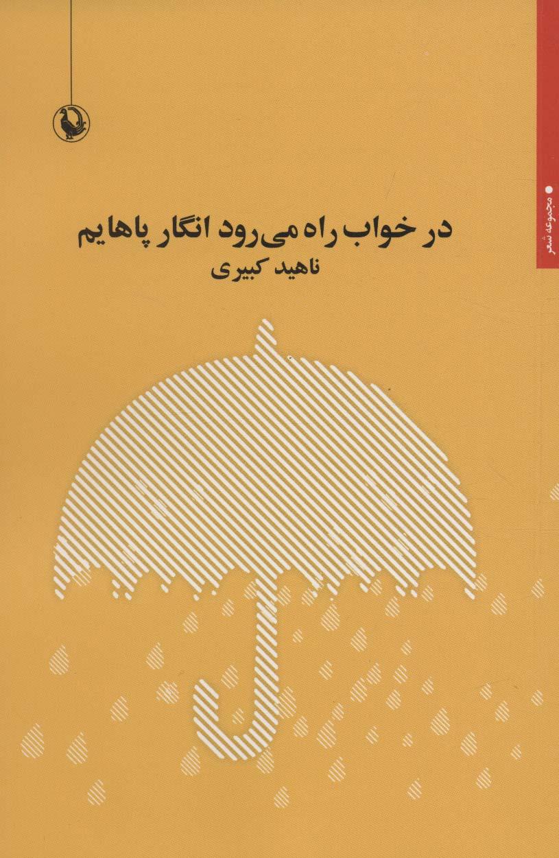 کتاب در خواب راه می رود انگار پاهایم