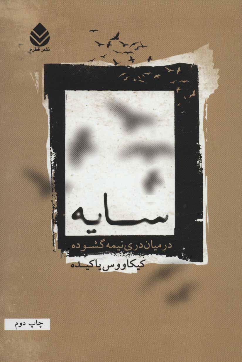 کتاب سایه در میان دری نیمه گشوده