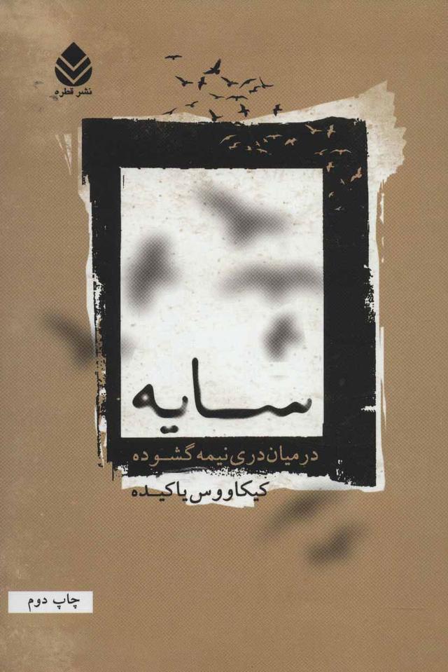 کتاب سایه در میان دری نیمه گشوده