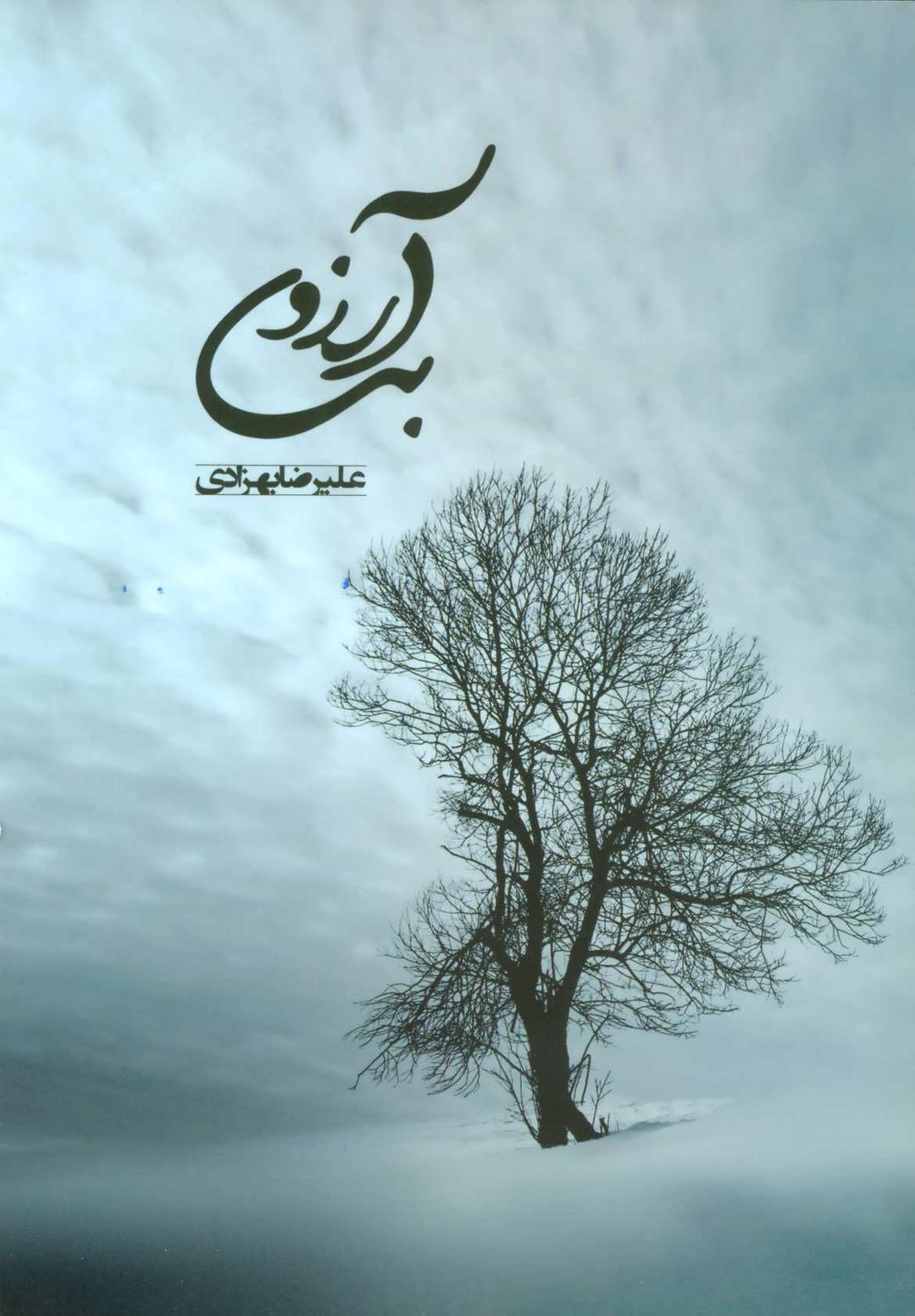 کتاب بی آرزو