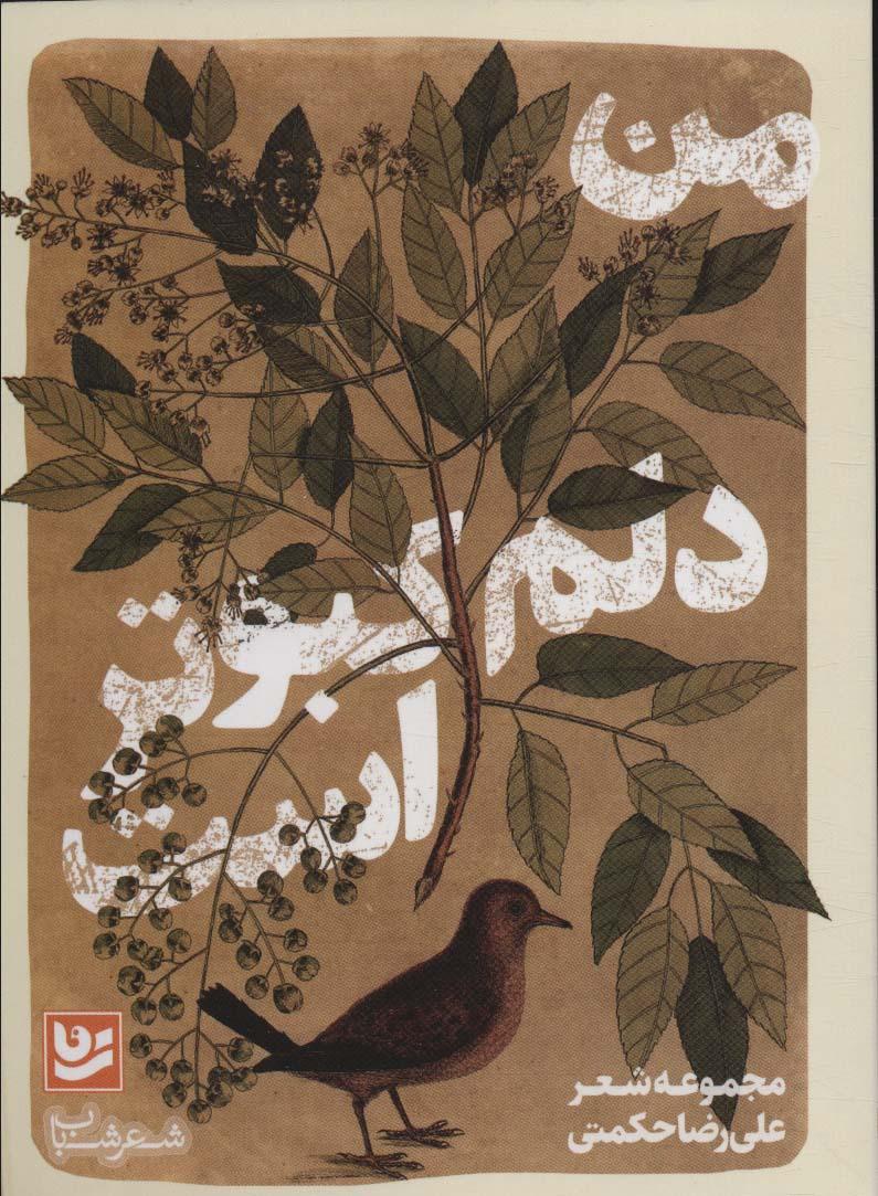 کتاب من دلم کبوتر است