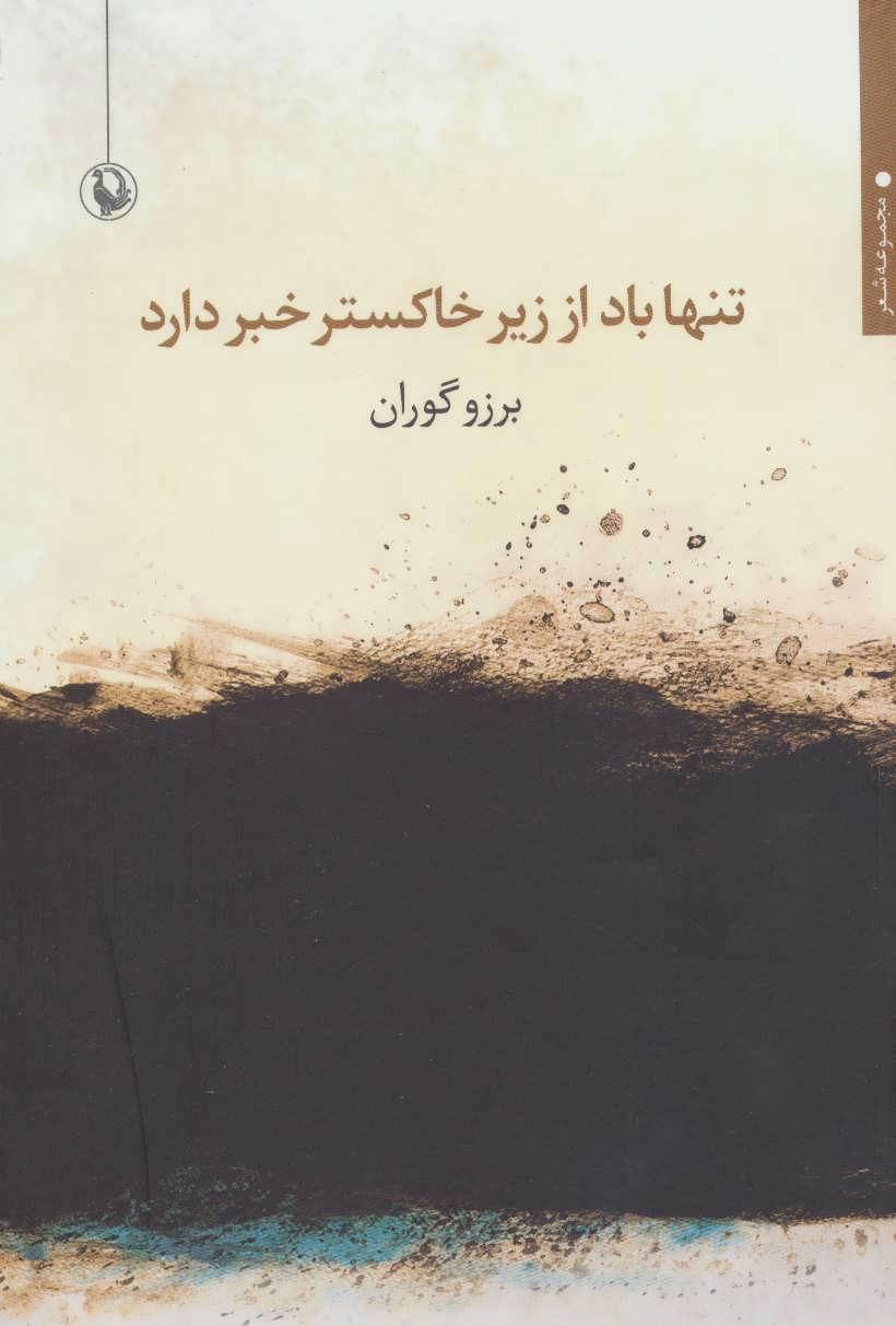 کتاب تنها باد از زیر خاکستر خبر دارد