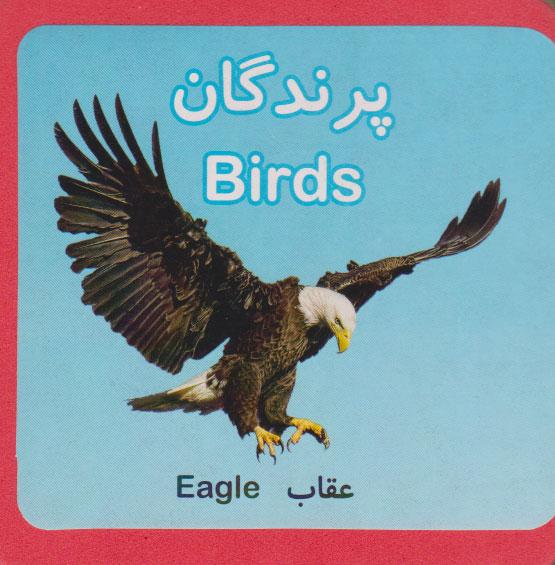 کتاب پرندگان