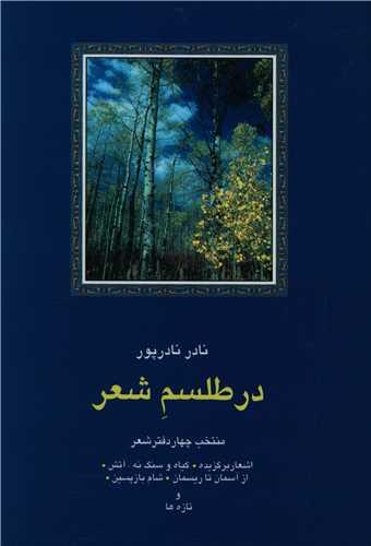 در طلسم شعر