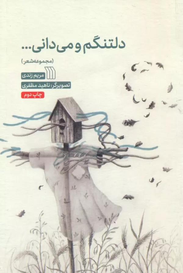 دلتنگم و می دانی...