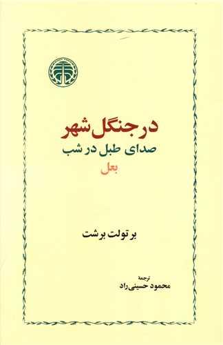 در جنگل شهر