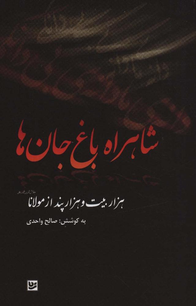 کتاب شاهراه باغ جان ها