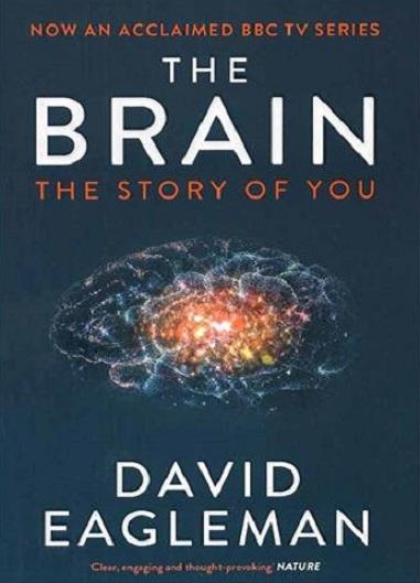 کتاب The Brain