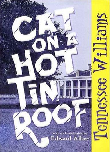 کتاب Cat on a hot tin roof