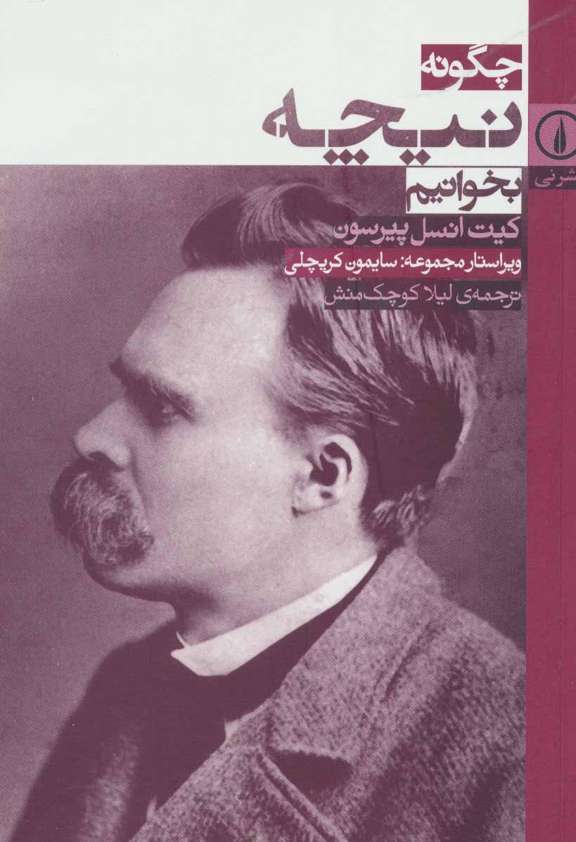کتاب چگونه نیچه بخوانیم