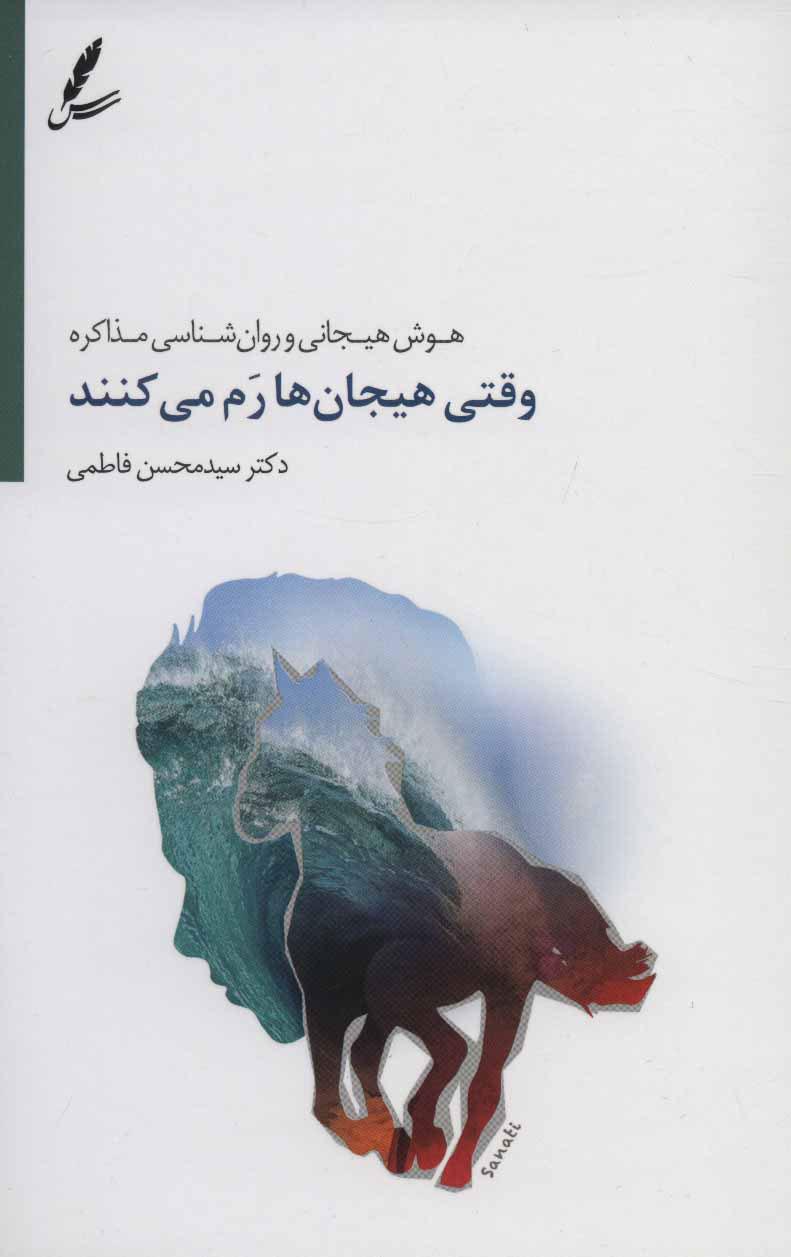 کتاب وقتی هیجان ها رم می کنند