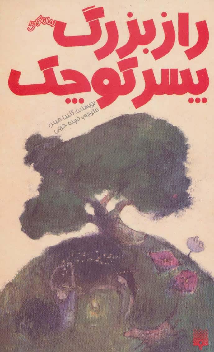 کتاب راز بزرگ پسر کوچک