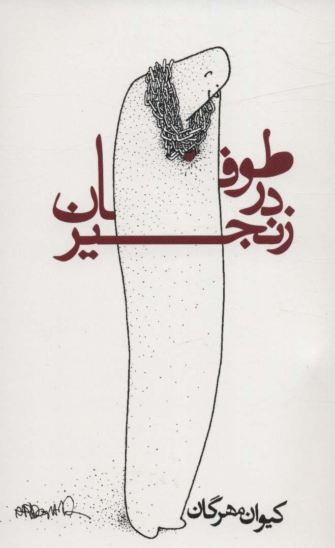 کتاب طوفان در زنجیر