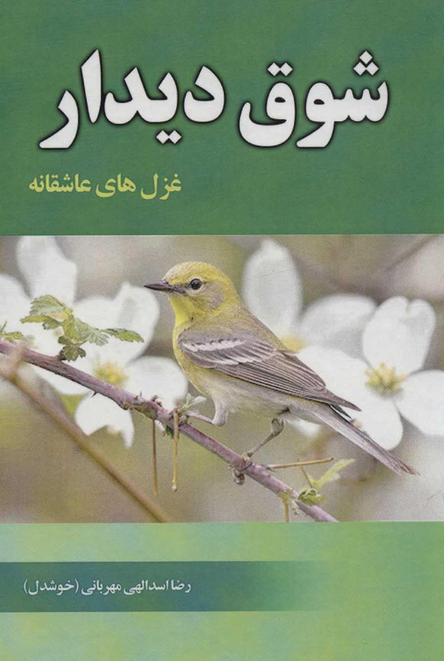 کتاب شوق دیدار