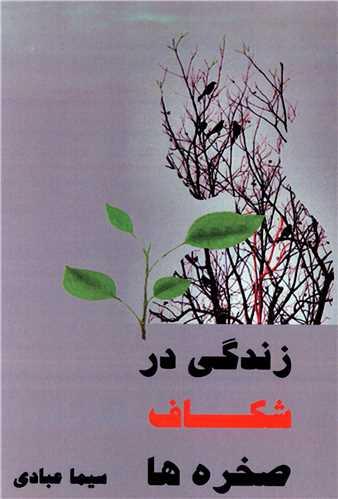 کتاب زندگی در شکاف صخره ها