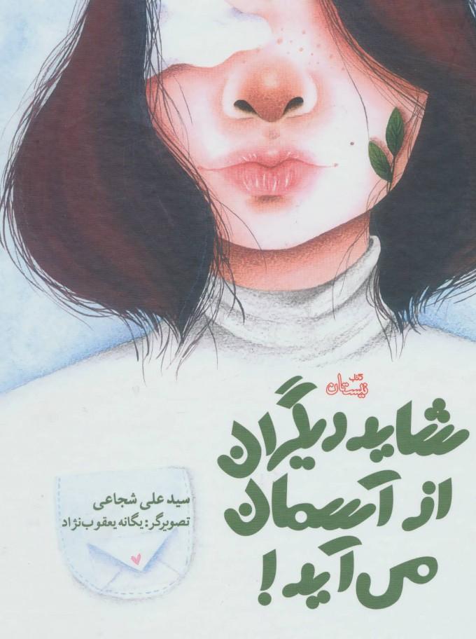 کتاب شاید دیگران از آسمان می آید!