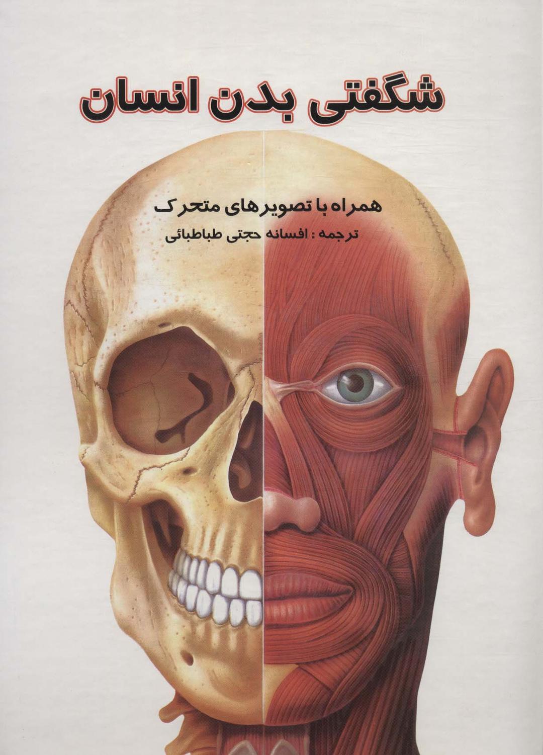 کتاب کتاب برجسته شگفتی بدن انسان