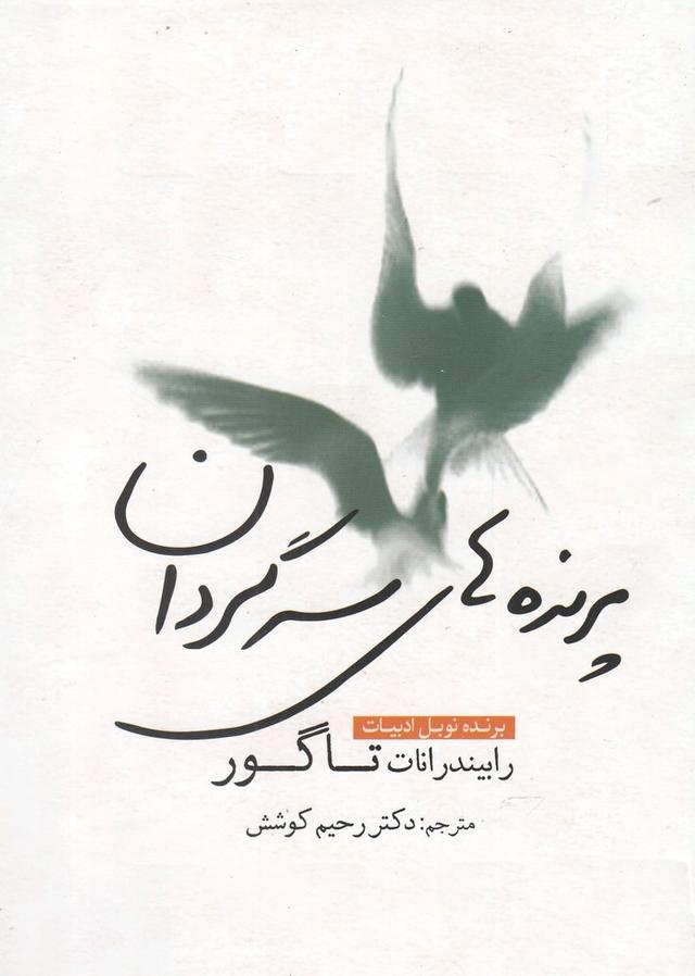 کتاب پرنده های سرگردان