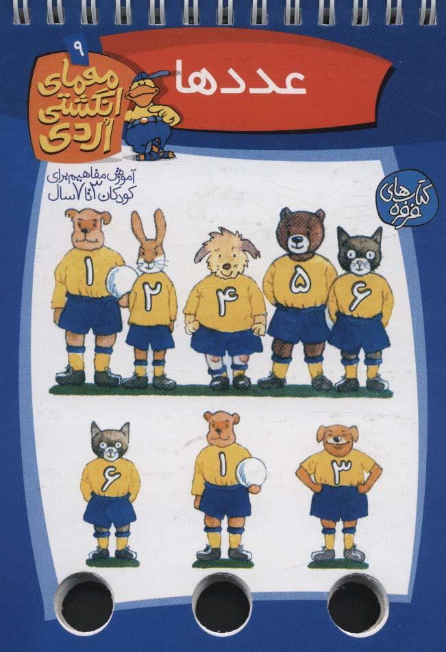 کتاب عددها