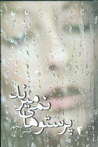 کتاب پرستوها نمی میرند