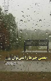کتاب بعضی چیزها را نمی توان گفت