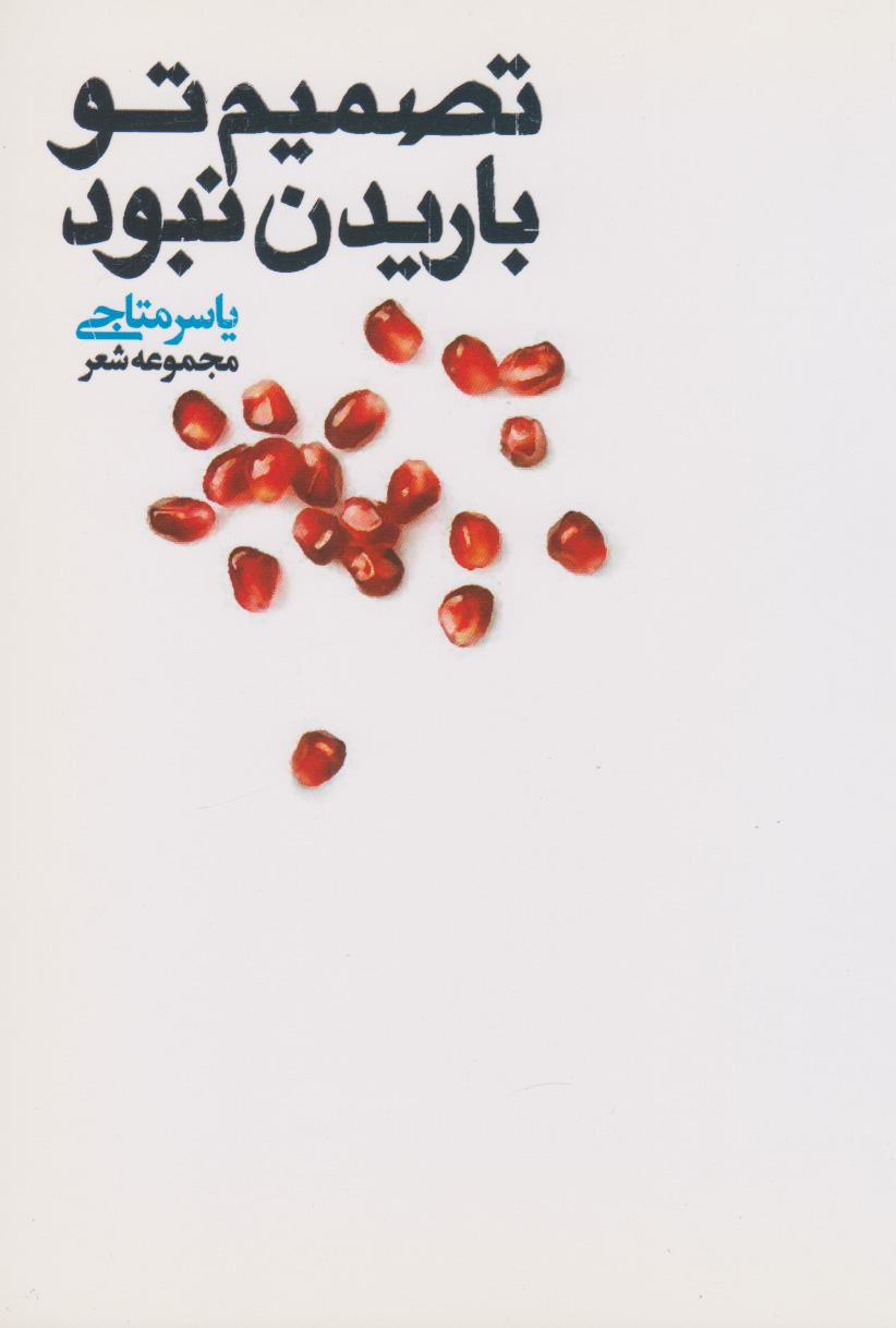 کتاب تصمیم تو باریدن نبود