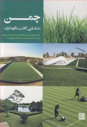 چمن