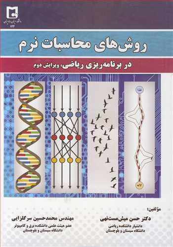 روش های محاسبات نرم در برنامه ریزی ریاضی