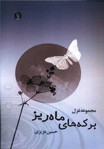 برکه های ماه ریز