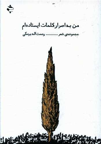 من به اصرار کلمات ایستاده ام