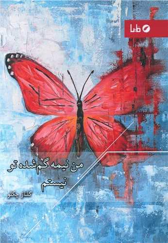 من نیمه گم شده تو نیستم