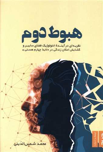 هبوط دوم