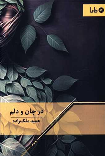 در جان و دلم