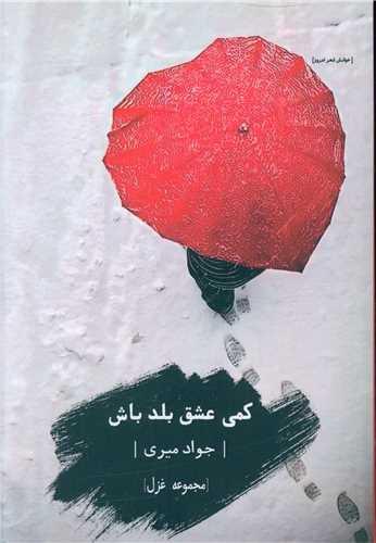 کمی عشق بلد باش