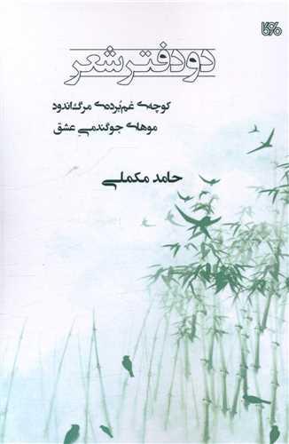 دو دفتر شعر