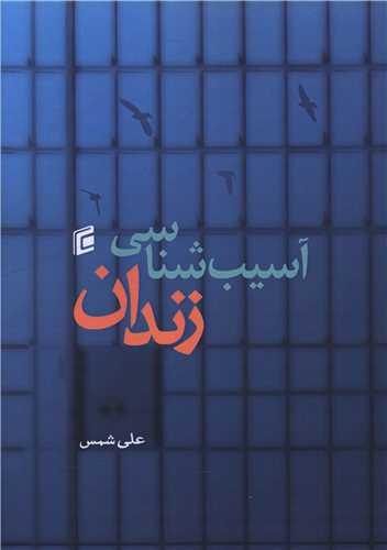 آسیب شناسی زندان