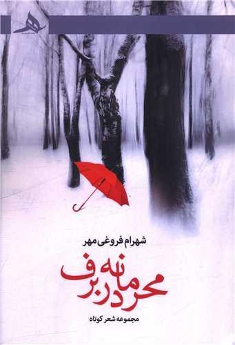 محرمانه در برف