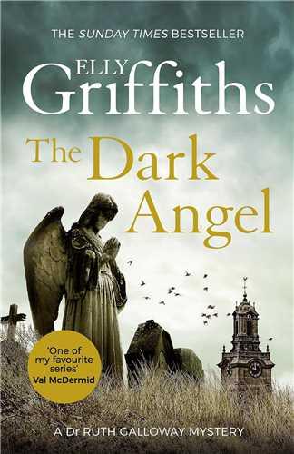 Dark Angel فرشته تاریکی