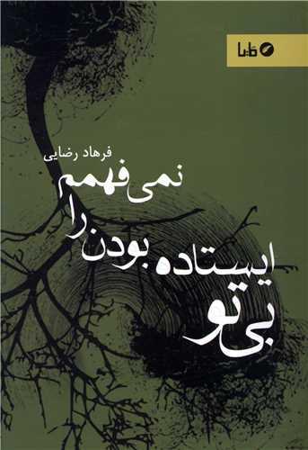 بی تو ایستاده بودن را نمی فهمم