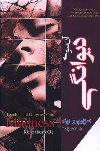 کتاب آن سوی دیوانگی
