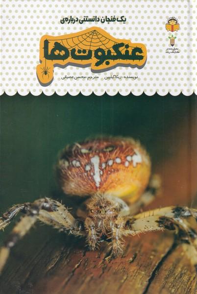 کتاب یک فنجان دانستنی درباره ی عنکبوت ها